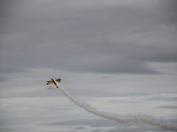 rodenberg2025 28